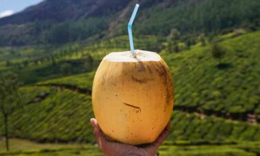6 benefícios da água de coco para a saúde
