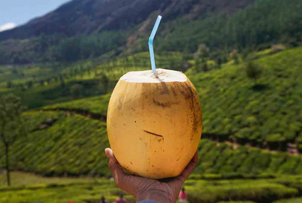 6 Vorteile von Kokoswasser für die Gesundheit