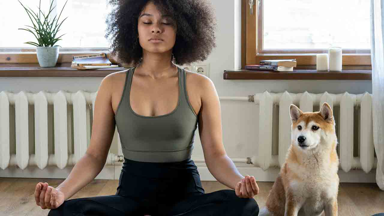 5 hábitos simples que transformam sua saúde mental e seu bem-estar diário